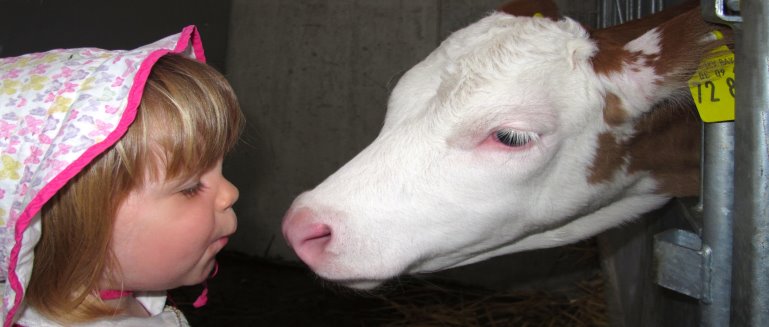 Bayern Bauernhofferien Tiere auf dem Bauernhof für Kinder